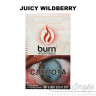 Табак Burn - Juicy wildberry (Дикая земляника) 100 гр Табак Burn - Juicy wildberry (Дикая земляника) 100 гр