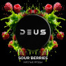 Табак Deus - Sour Berries (Кислые ягоды) 30 гр