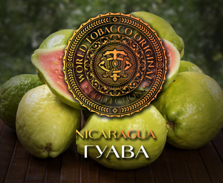 Табак WTO - Nicaragua (Гуава) N28 20 гр