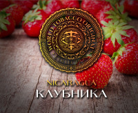 Табак WTO - Nicaragua (Клубника) N09 20 гр